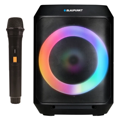 בידורית בלאופונקט 1160